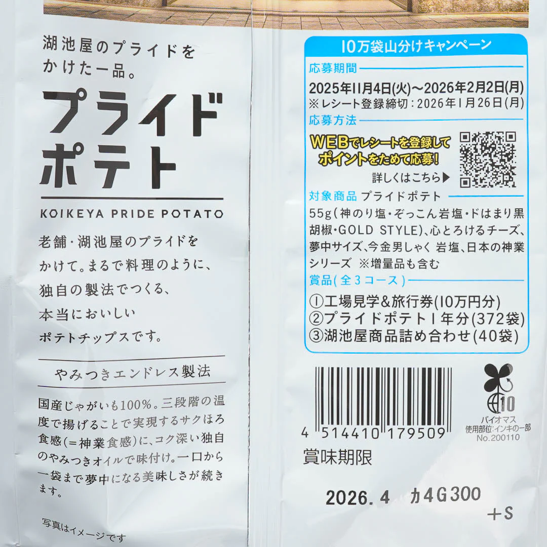 Koikeya Pride Potato Chips - Melty Cheese - Image 3
