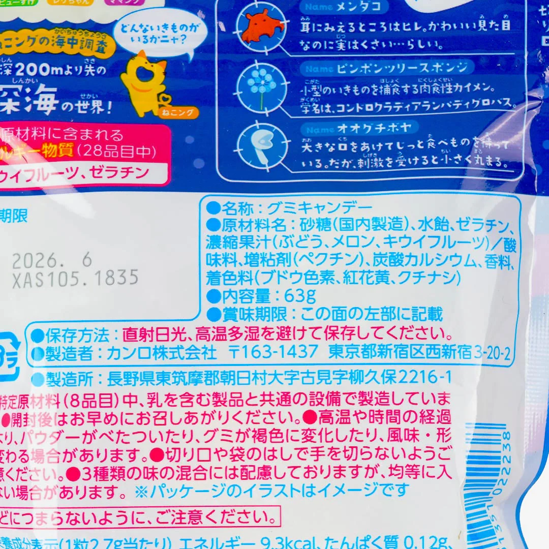 Kanro Puré Ring Gummy - Assorted Fruit Soda - Image 4